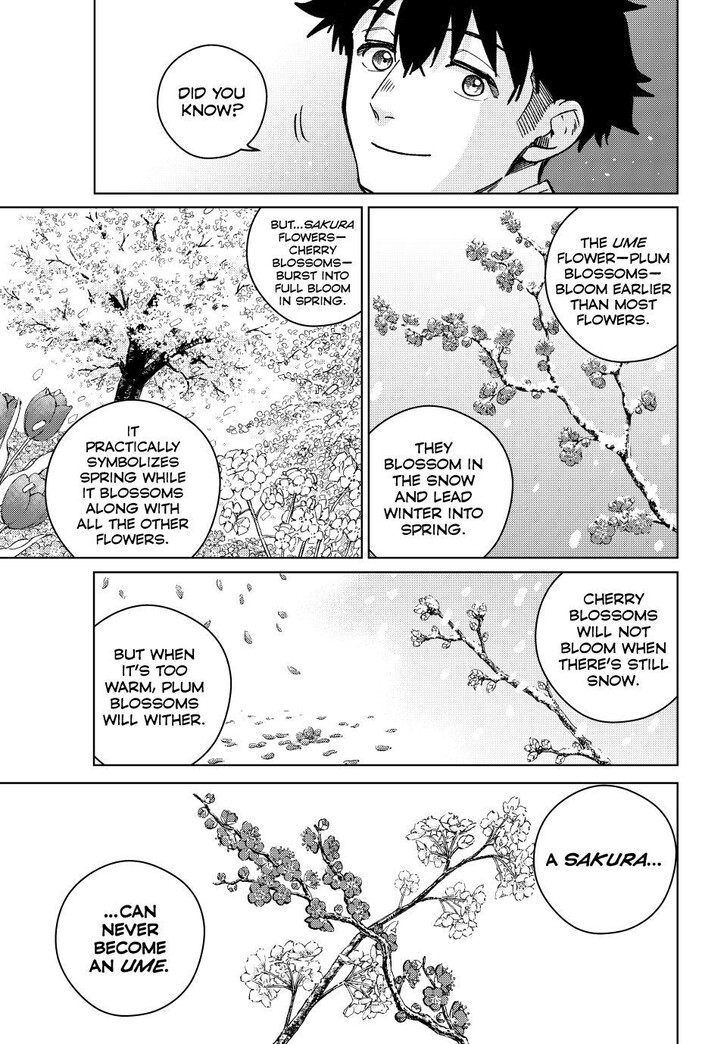 Wind Breaker, Chapter 181 image 13